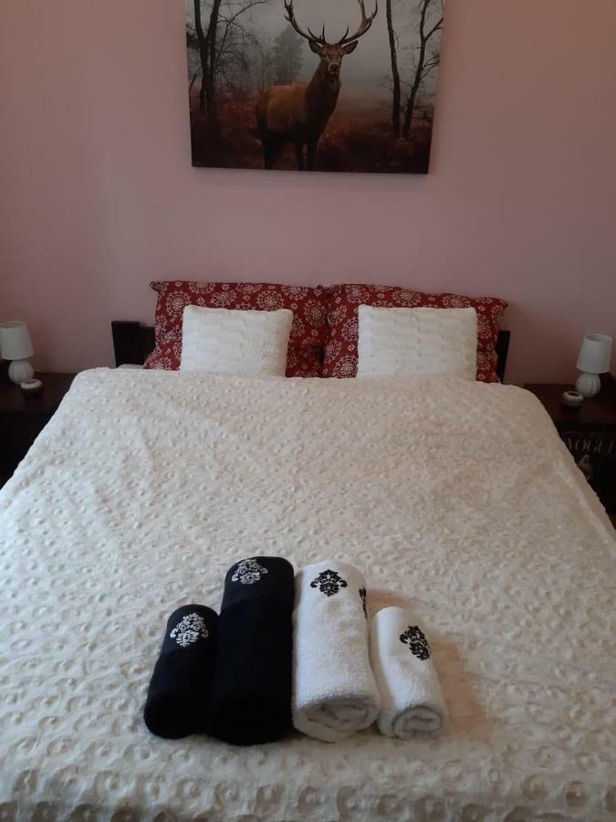 Apartament Wspanialy. Kowary Extérieur photo